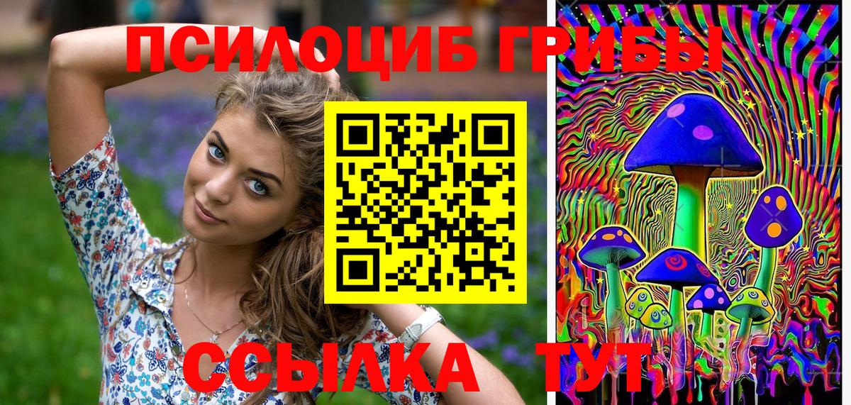 хочу   Псилоцибиновые грибы прущие грибы  Вход с VPN  Ханты-Мансийск 